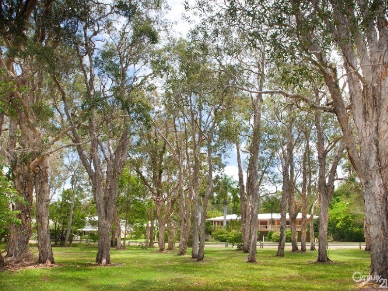 83 Weyba Road, Noosaville QLD 4566