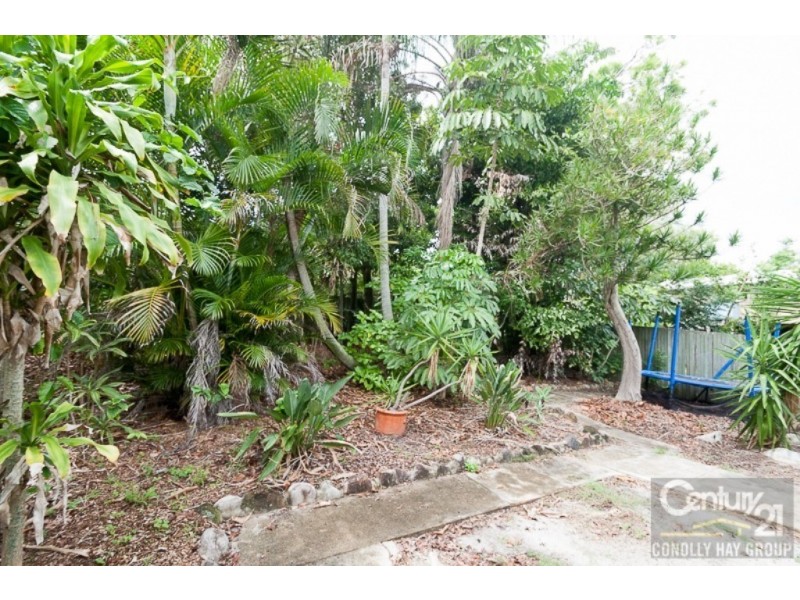 22 Pacific Avenue, Sunshine Beach QLD 4567