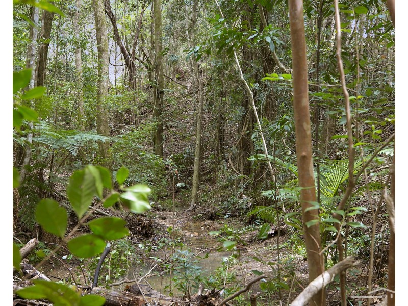 195 Sunrise Road, Eumundi QLD 4562