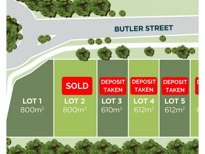 67 Butler Street, Tewantin QLD 4565