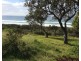19/512 David Low Way, Castaways Beach QLD 4567