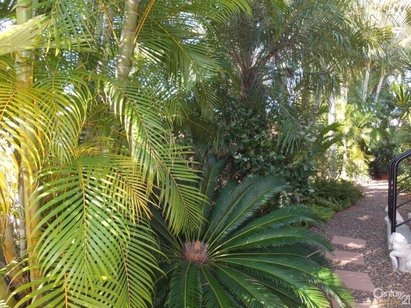 H33/295 Boat Harbour Drive, Scarness QLD 4655