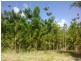 LOT 3 DERNS DVE, Takura QLD 4655