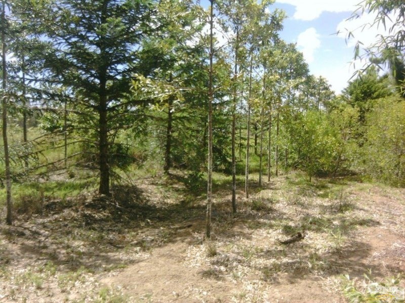 LOT 3 DERNS DVE, Takura QLD 4655