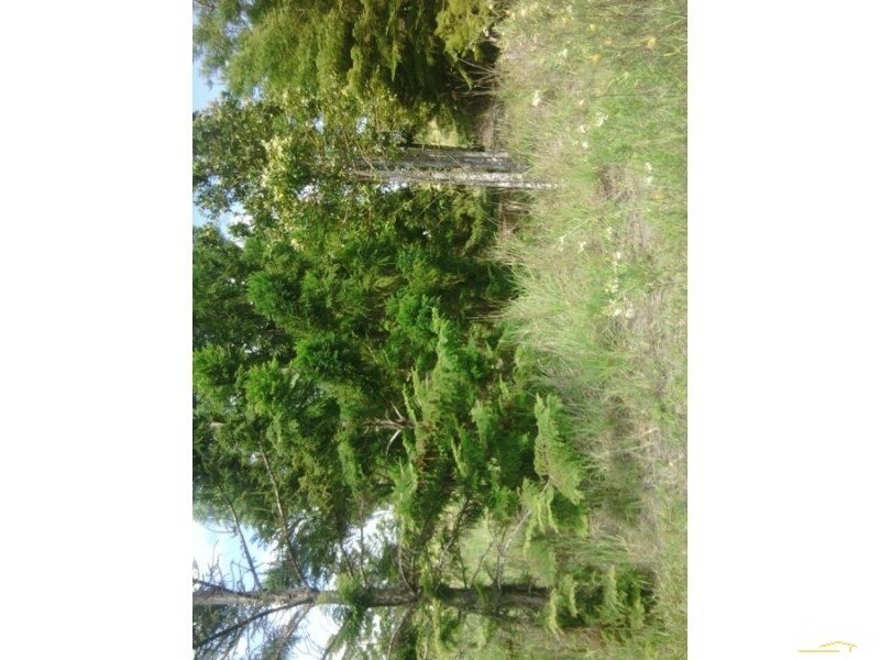 LOT 3 DERNS DVE, Takura QLD 4655