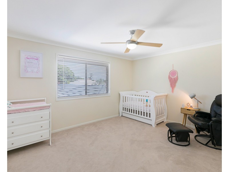 20 Carolena Street, Cleveland QLD 4163