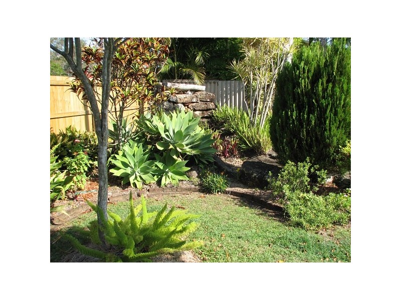 55 High View Drive, Cleveland QLD 4163