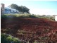 Lot 19 Pontiac Place, Thornlands QLD 4164