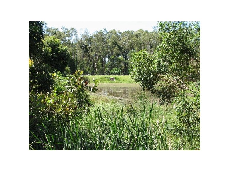 18 Carlingford Drive, Thornlands QLD 4164