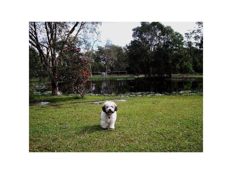 156 Solway Crescent, Carbrook QLD 4130