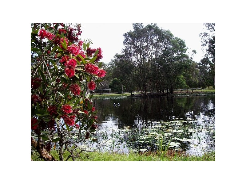 156 Solway Crescent, Carbrook QLD 4130