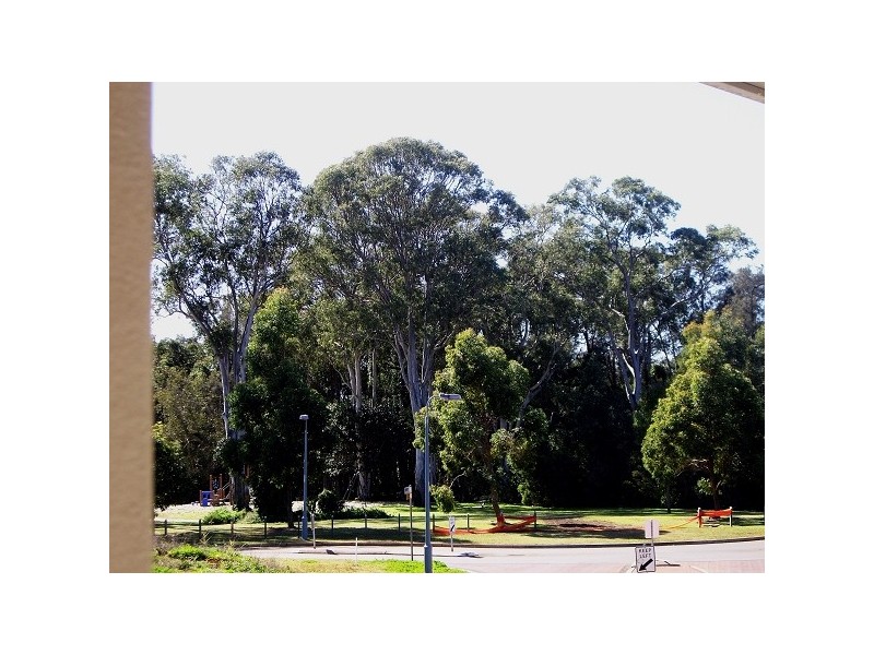 6 Pannikin Place, Thornlands QLD 4164