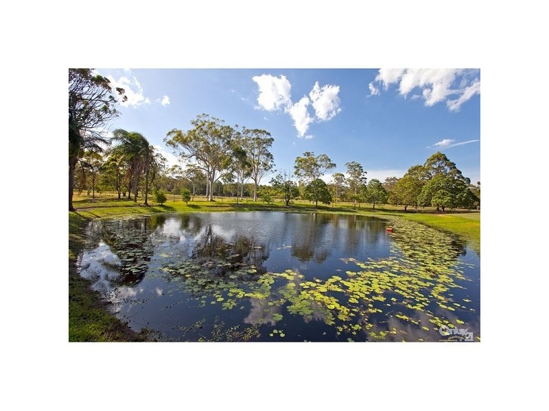 140 Springacre Road, Thornlands QLD 4164