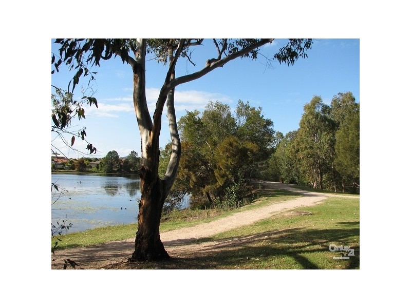 25 Chateau Street, Thornlands QLD 4164