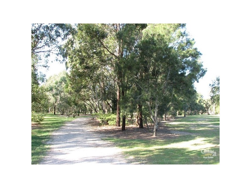 25 Chateau Street, Thornlands QLD 4164