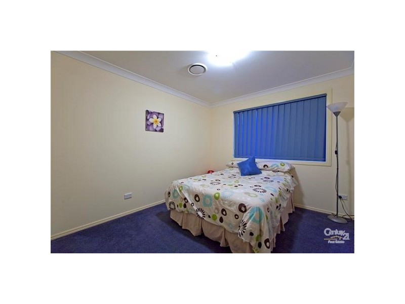 3 Dylan Street, Thornlands QLD 4164