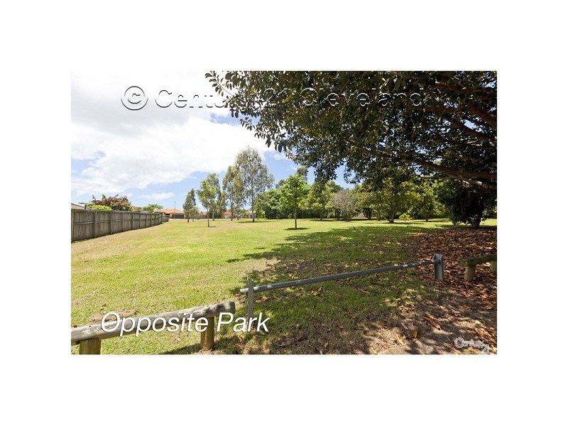 7 Vassi Concord, Cleveland QLD 4163