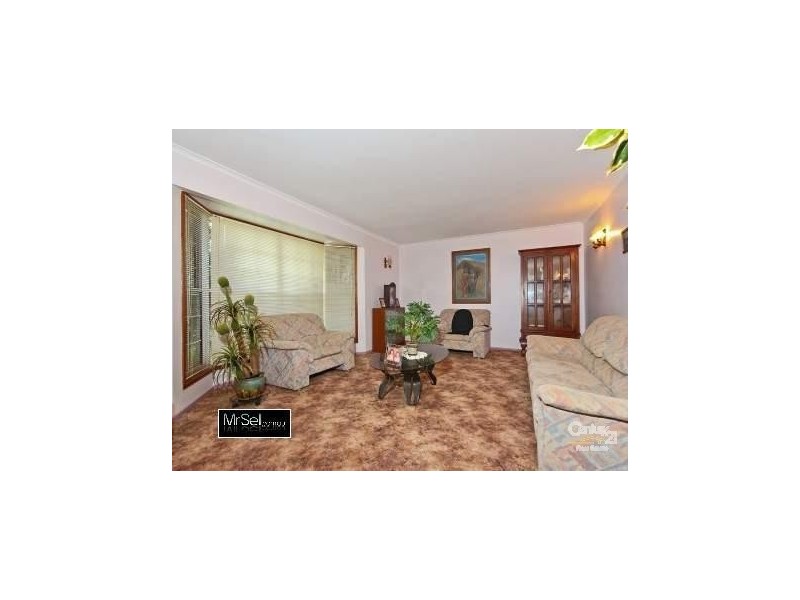 31 Whitehall Ave, Birkdale QLD 4159