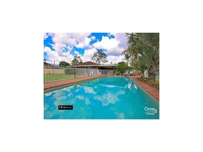 31 Whitehall Ave, Birkdale QLD 4159