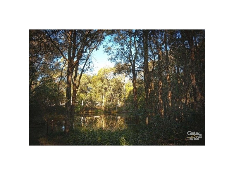 40-60 Springacre Road,, Thornlands QLD 4164