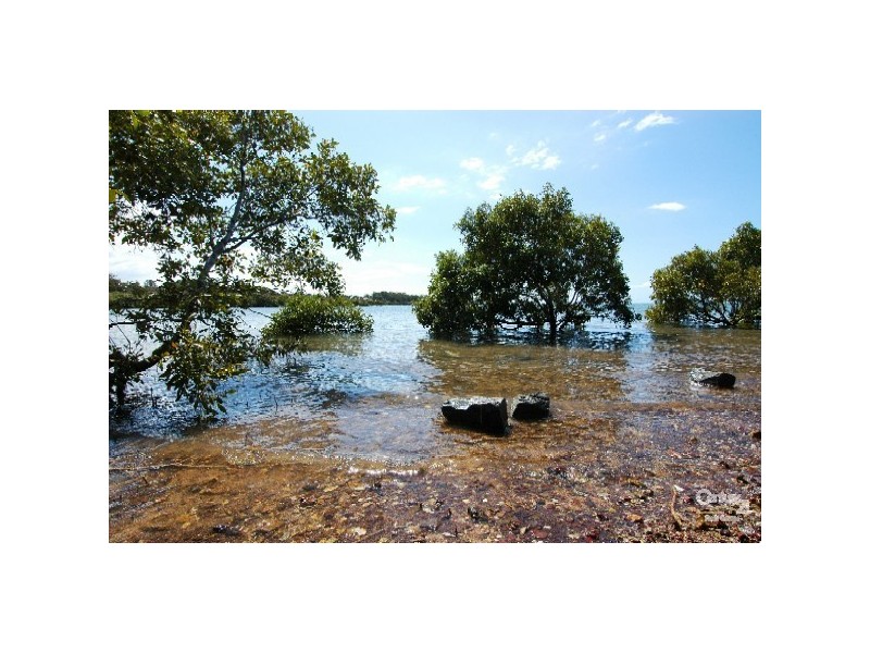 8 Shamrock Street, Ormiston QLD 4160