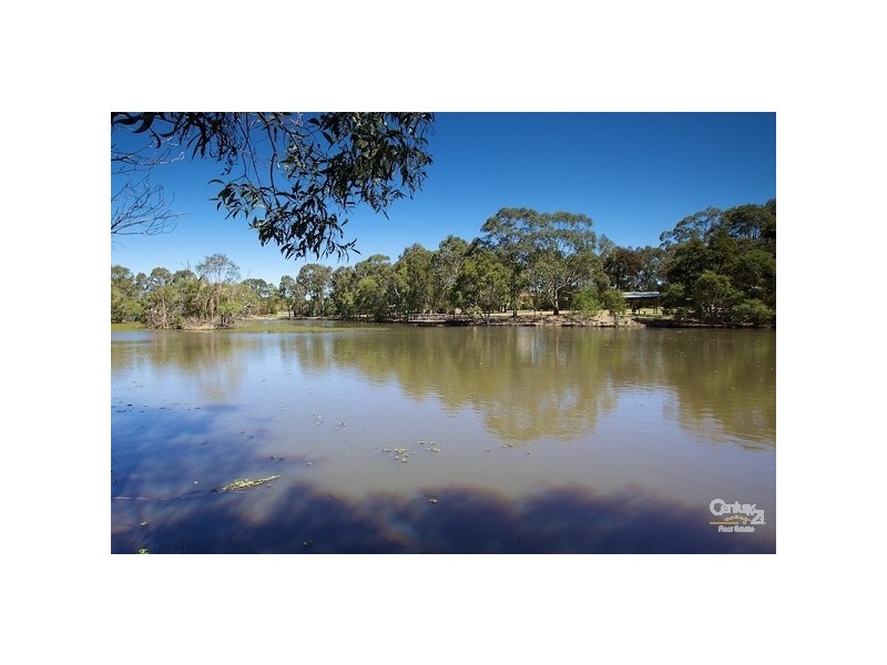 41 Margery Street, Thornlands QLD 4164