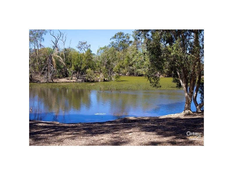 41 Margery Street, Thornlands QLD 4164