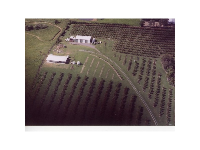 952 Hay Point Road, Hay Point QLD 4740