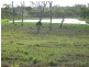 Lot 52 Greenhill Road, Ilbilbie QLD 4738
