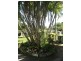 23 Graves Street, North Mackay QLD 4740