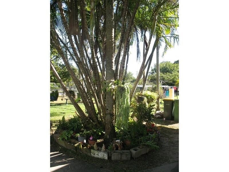 23 Graves Street, North Mackay QLD 4740