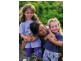 Lots 235-301 Premier Gardens Estate, Rural View QLD 4740