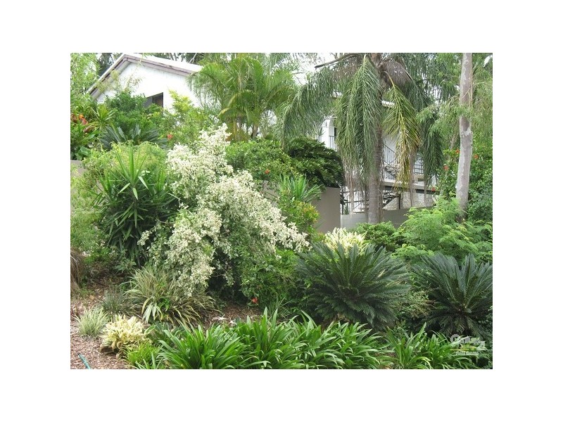 10 Benson Avenue, Mount Pleasant QLD 4740