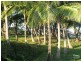 29 RASMUSSEN AVENUE, Hay Point QLD 4740
