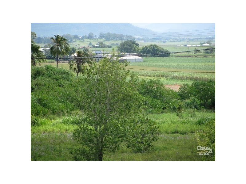 198 WAINAI ROAD, Farleigh QLD 4741