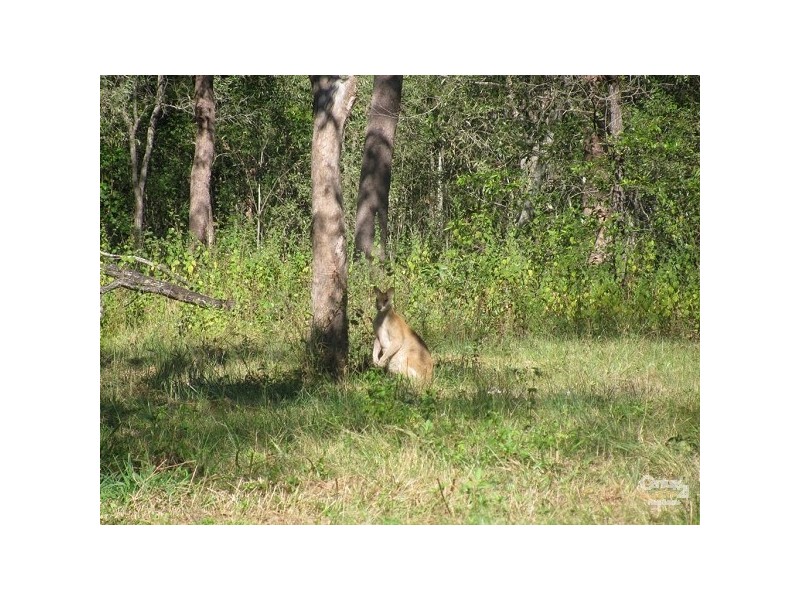 145 Royston Park Drive, Kuttabul QLD 4741