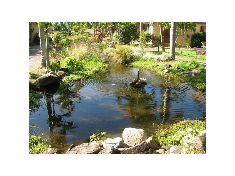 59/7 Griffin Avenue, Bucasia QLD 4750