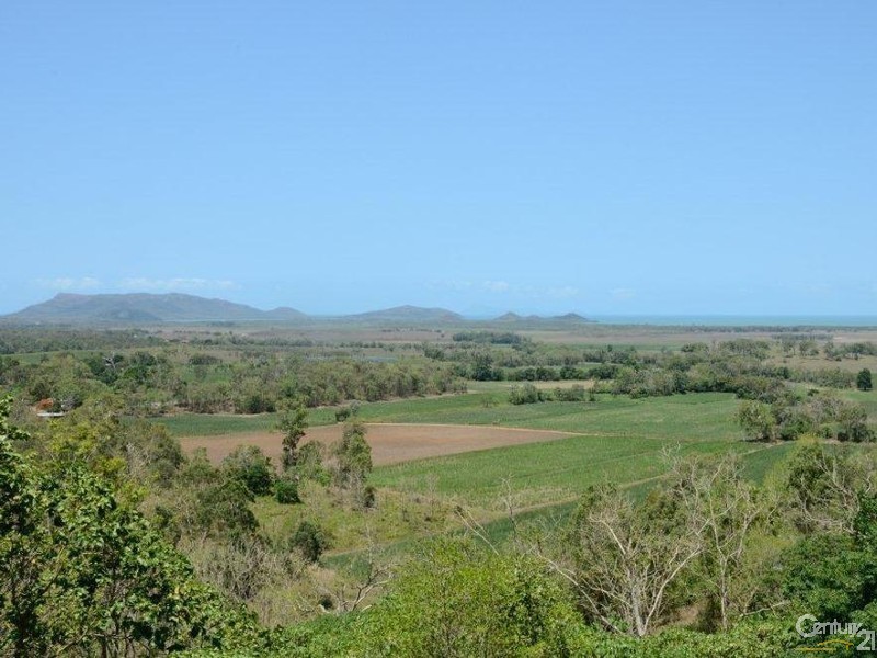 1243 Yakapari-Seaforth Road, Mount Jukes QLD 4740