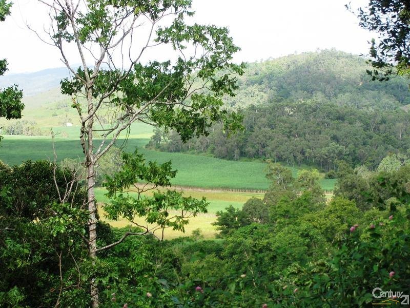 1243 Yakapari-Seaforth Road, Mount Jukes QLD 4740