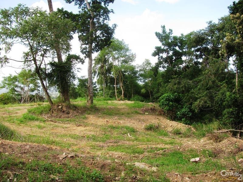 1243 Yakapari-Seaforth Road, Mount Jukes QLD 4740