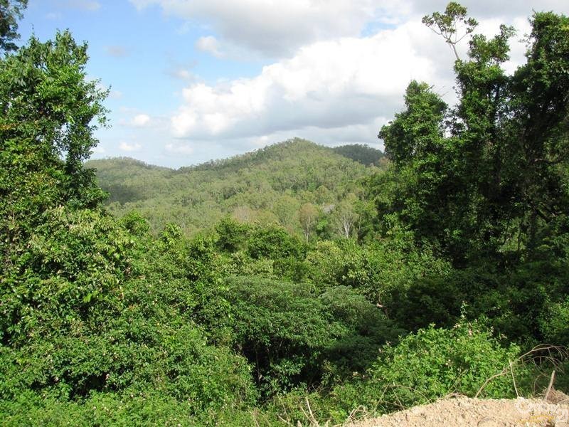 1243 Yakapari-Seaforth Road, Mount Jukes QLD 4740