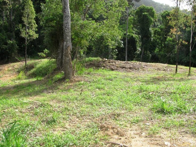 1243 Yakapari-Seaforth Road, Mount Jukes QLD 4740