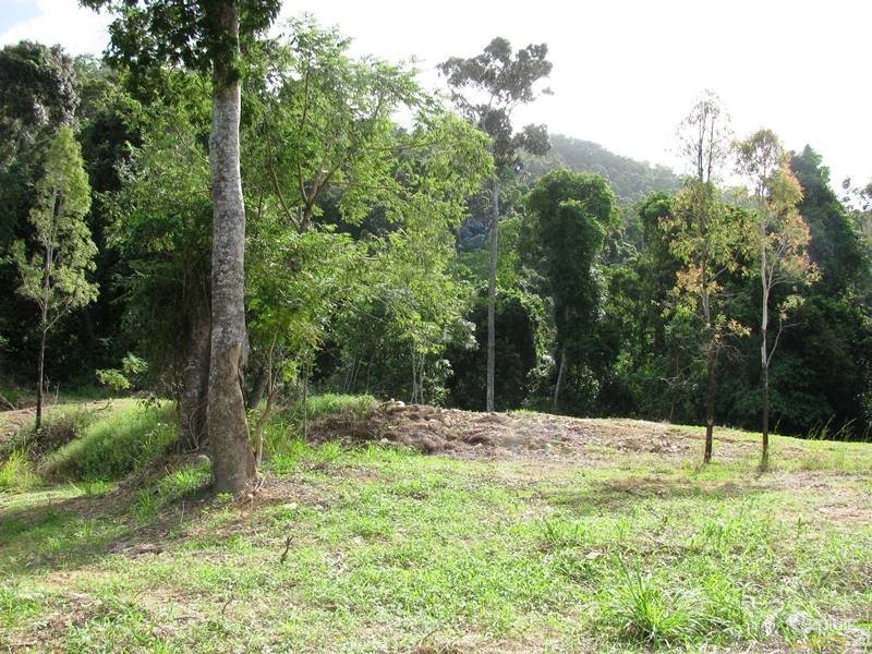 1243 Yakapari-Seaforth Road, Mount Jukes QLD 4740