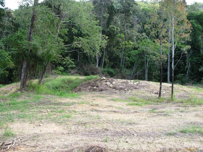 1243 Yakapari-Seaforth Road, Mount Jukes QLD 4740