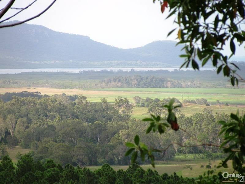 1243 Yakapari-Seaforth Road, Mount Jukes QLD 4740