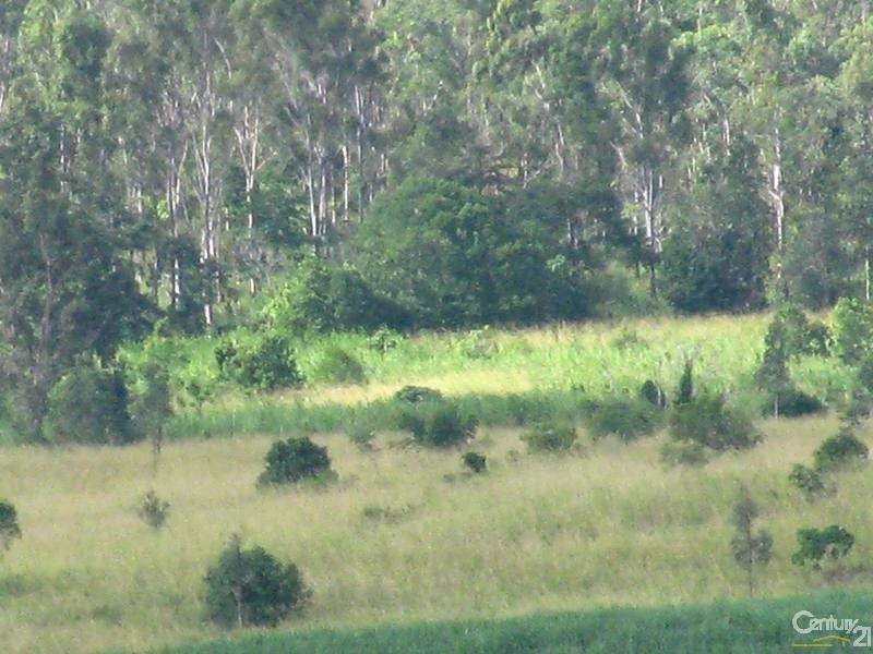 1243 Yakapari-Seaforth Road, Mount Jukes QLD 4740