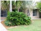 88 Tropical Avenue, Andergrove QLD 4740