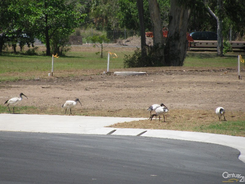 Richana Estate Caroval Drive, Rural View QLD 4740