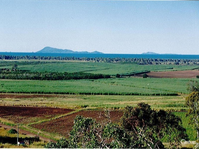 113 Attards Road, Habana QLD 4740