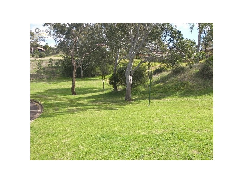 38 Catalina Drive, Wilsonton QLD 4350